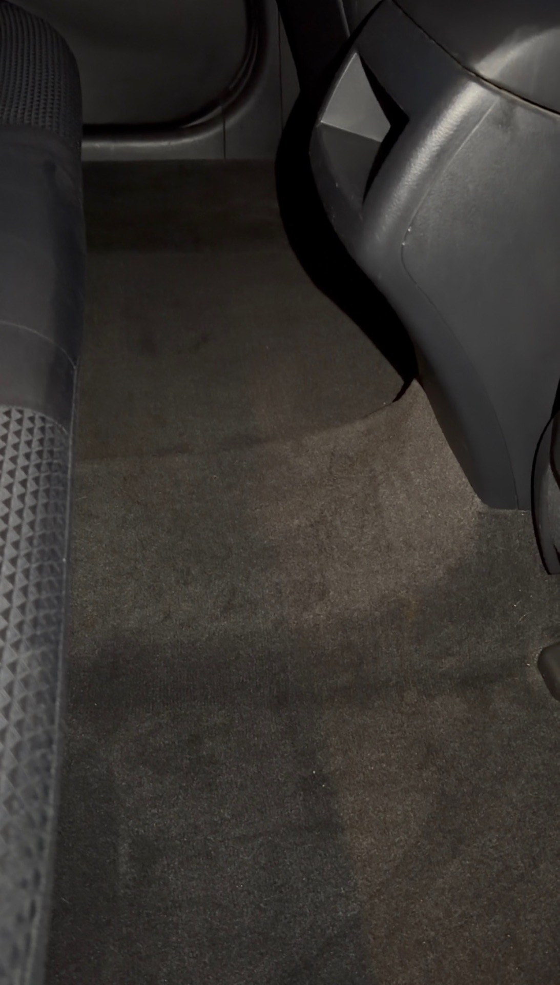 Carpet reset after detailing